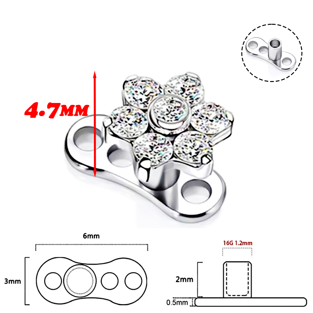 F136 Высококачественный титано – обзор и цена Dermal Anchor Top